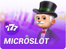 MICROSLOT